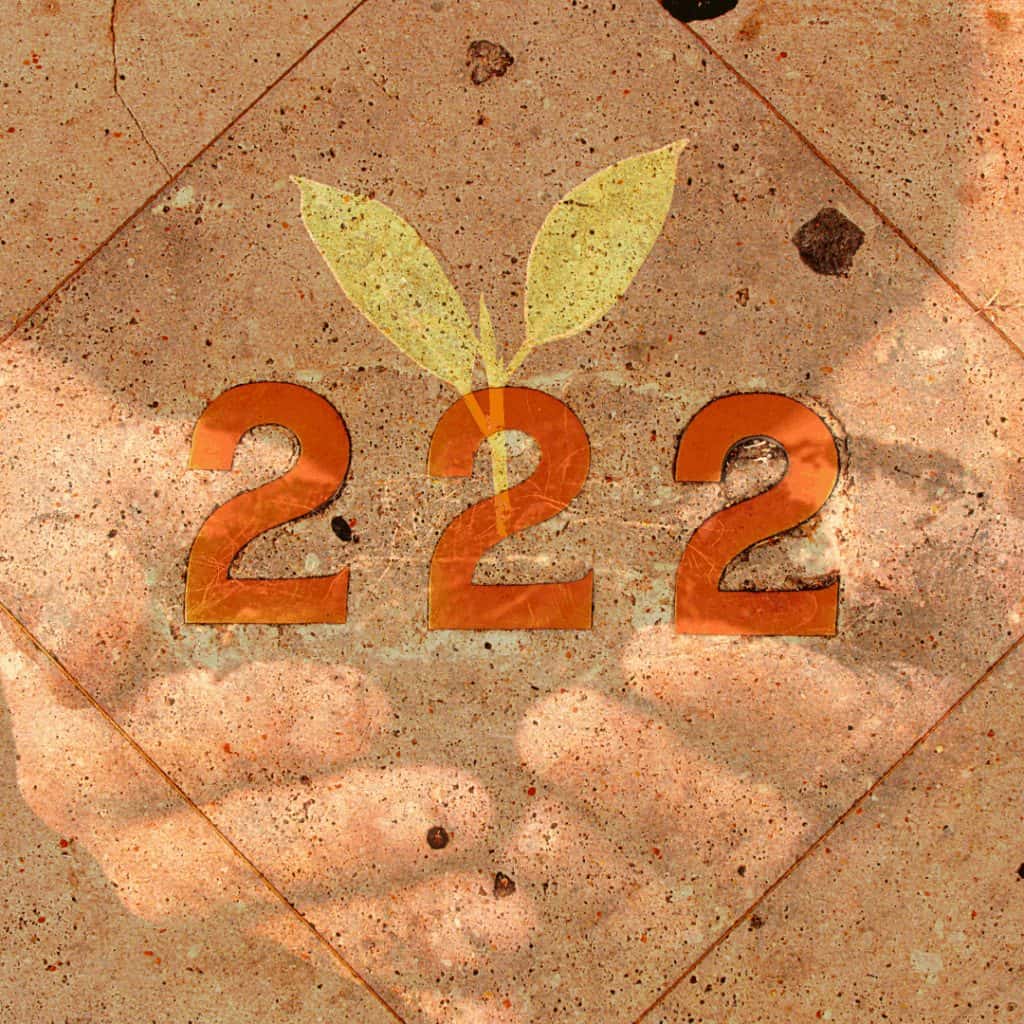 222 Angel Number 222 Meaning