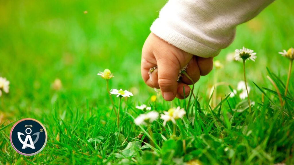 Archangel Michael - Curiosity 